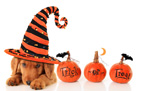 Halloween wall 20
